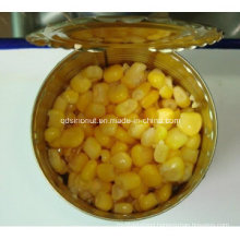 2016 Crop Canned Sweet Corn Kernels